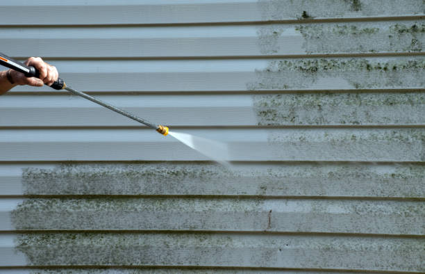 Best Mold Damage Repair  in Ithaca, NY