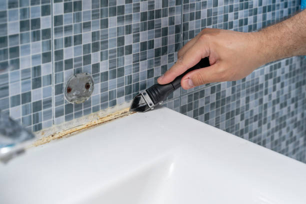 Best Local Mold Removal Service  in Ithaca, NY