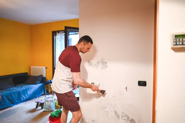 Best Local Mold Removal Service  in Ithaca, NY